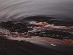 수귀기담水鬼奇談