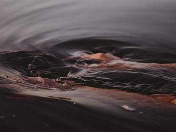 수귀기담水鬼奇談