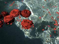 [아원커 프로필]