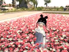 도마카세 커미션용 자료