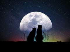 바람이 부는 세계