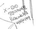 X-EXO(KAI, D.O + XIUMIN) +추가