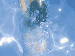 시럽 속의 수영 선수