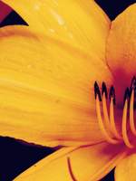 되돌아 흐르는 모래시계, 반복되는 다카포