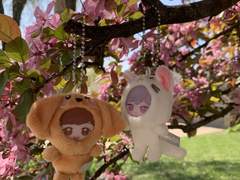 자랑하려고 올리는