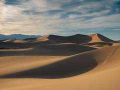 [생존일지] Break a leg!