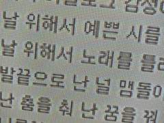 너를 향한 내 사랑은