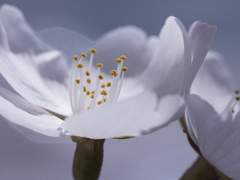 [조각글] 좋은 아침