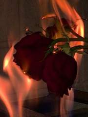 밍키가 위주인 단편집