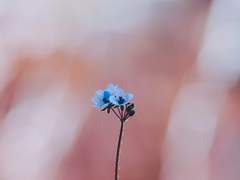 [협연] 새로운 역사를 쓰는 방법에 관한 제언