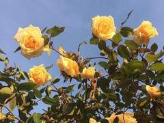 나는 아직까지도 너를 사랑하고 있어서