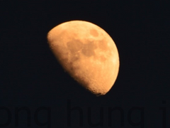 소원은 함부로 빌지 말것.