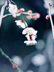 Review &Sample. 19금 &15금 TYPE