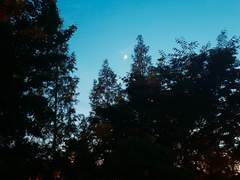 [쥬돗포/히후도] 부유하던 시절 03