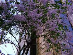 [공일오비 14호] 어느 겨울의 여름: 성노동자 활동가 여름과의 대화 / 노랑