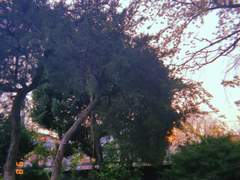 성매매 현장말고 우리같은 몸을 환대해주던 곳이 있던가?