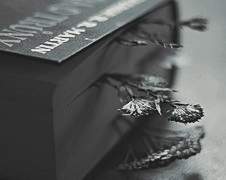 Chapter -A Supplementary Story Episode 6 (1/ ??)