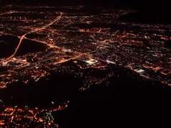 북극여우 관찰일기 20