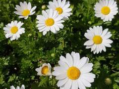 일을 그만두면, 당장 하고 싶었던 것들