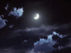 [노아모리유세프] 01. midnight