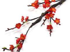 마법학교 화술당 10