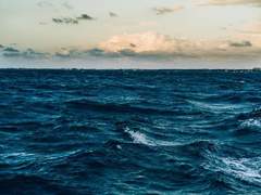 [캐해석 타로] 칼리스토 A. 실베스터