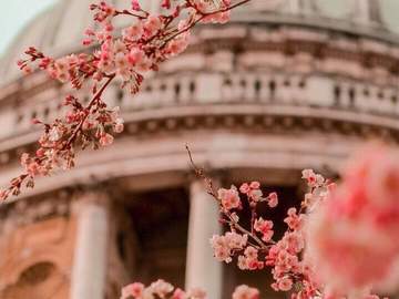 [얀별케일] 봄의 환가還家