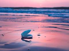 비록 세상의 종말이지만