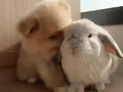 수싀 트윗백업 4월 - 상