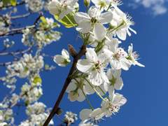 [히나른] 트라우마 2화