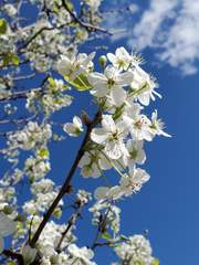 [히나른] 트라우마