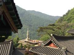 봉황(鳳凰) 21 : 허락