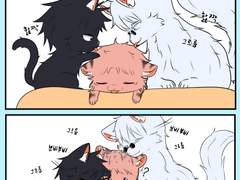 고양이 후시유지고죠