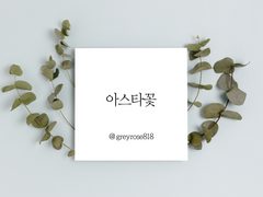 [스바+코] 아스타꽃