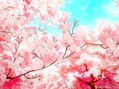 [포켓몬 드림]벚꽃엔딩