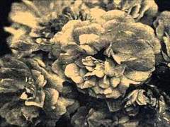 [뷔진/외전] 내가 여기에 있을게 2