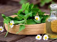 [마호야쿠/파우스트] 좋은 추억