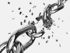 그 동물원에서 탈출하려면 (3)