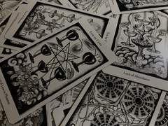 이차 타로 2차 개장 안내