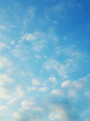 리메이크 모음집