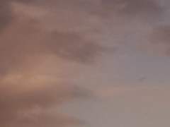 생존일지-마지막