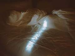 AU. 반진 죽먹 이긴 세계 리키세르