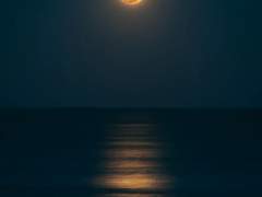 그 모든 것을 더는 잃고 싶지 않기에.