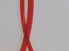 아저씨 진짜 가이드 맞아