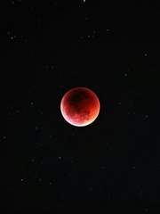 고록, 혹은 답록