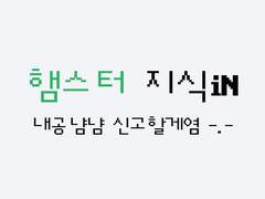 햄식인 키링 도안