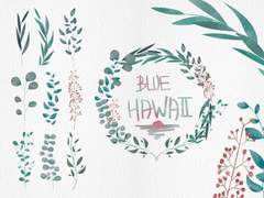 Nature illustration PNG #01