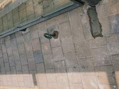 뭔가 잃어버릴 것 같아