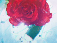 뭐야, 뭐야~? 나한테 물어볼 거 있어?