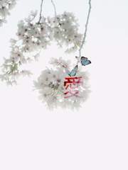 꽃은 다 떨어지고 나비가 왔어요